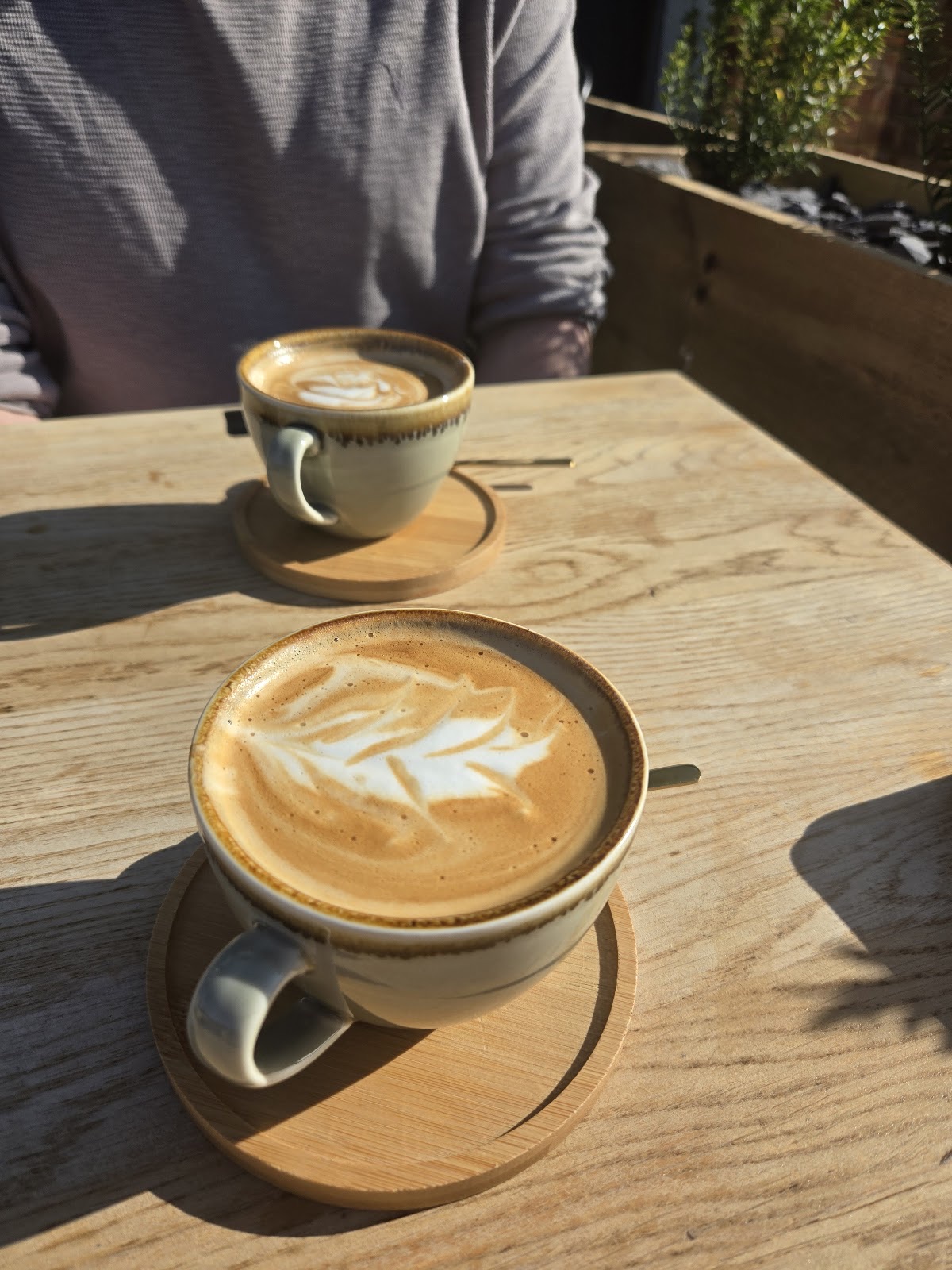 Two lattes with leaf art on a light wood table